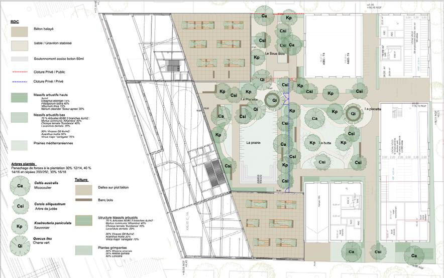 Plan de masse général – Campus Littoral