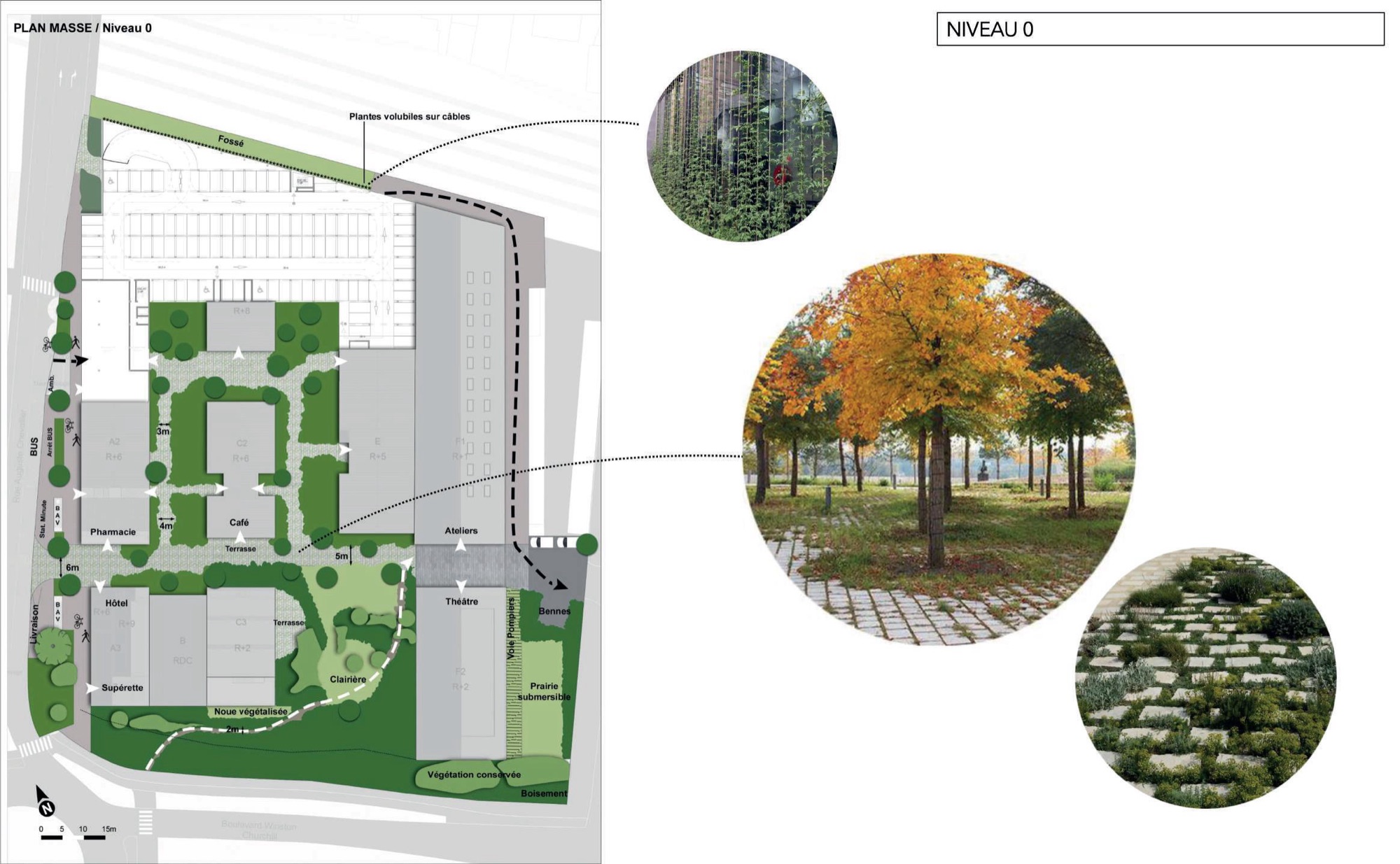 Espaces extérieurs – niveau 0 – Campus Saint-Sauveur, Tours